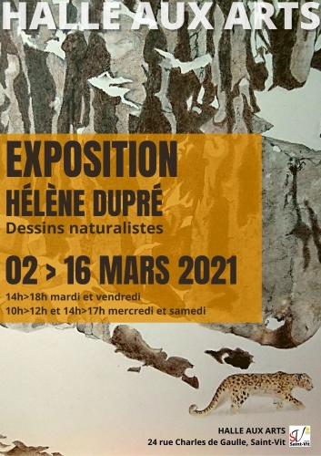 Exposition de dessins naturalistes