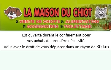 La Maison du chiot