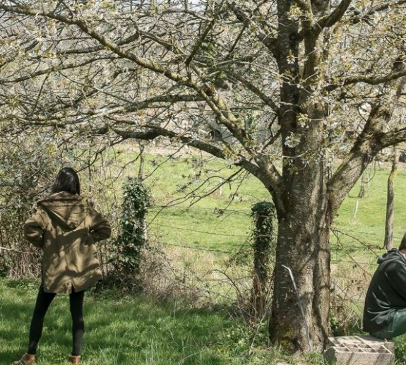 CANTI, Vie remarquable des arbres et vie quotidienne