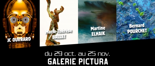 Exposition à la galerie Pictura