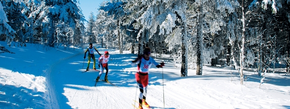 Coupe du monde de ski nordique