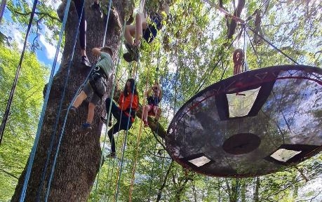 Fête Forêt-N