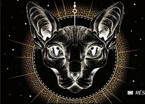 Wootz + Each + The Bradley’s