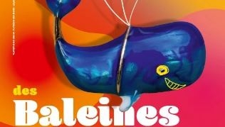 Des Baleines dans la cour