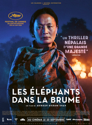 Les Éléphants dans la brume