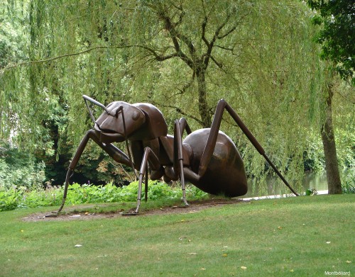 PARC SCIENTIFIQUE DU PRèS-LA-ROSE