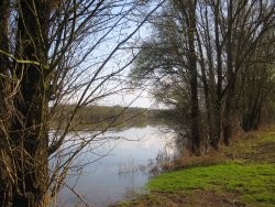 MARAIS DE SAôNE